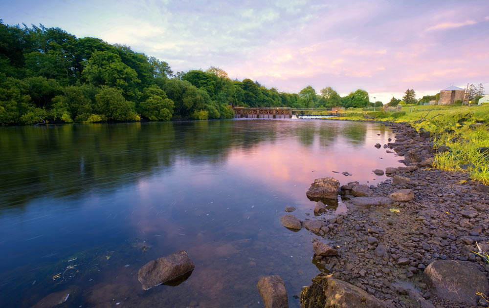 Natur in Irland