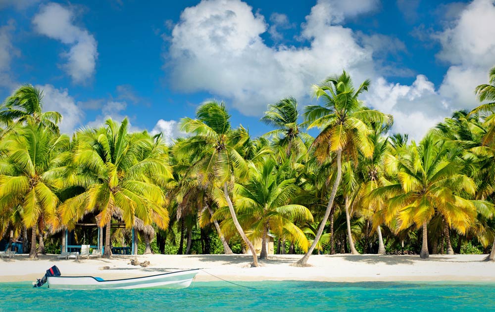 Palmengesäumter Sandstrand