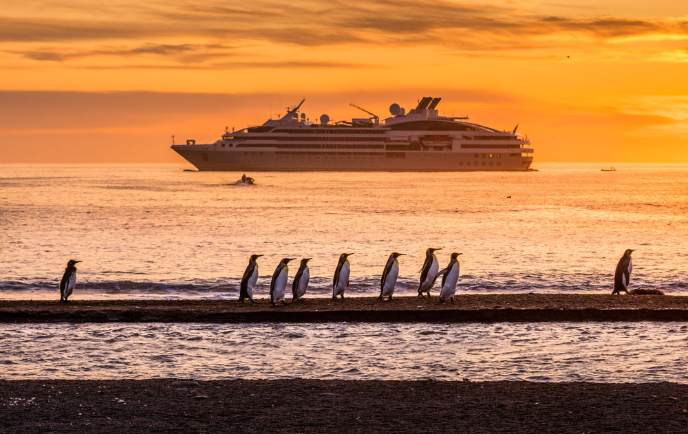 PONANT Kreuzfahrtschiff mit Pinguinen im Vordergrund