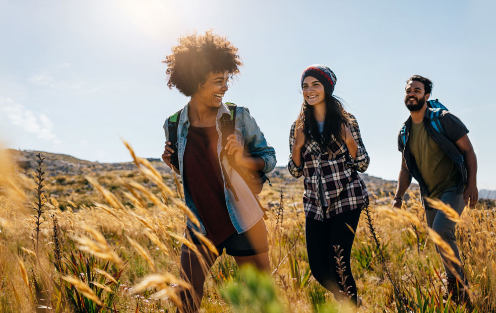 Drei Freunde wandern durch hohes Gras