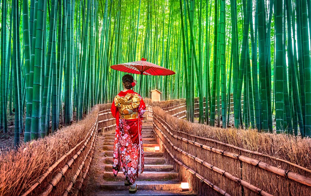 Asiatische Frau in einem traditionellen Kimono im Bambuswald in Kyoto, Japan